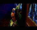 PDVD_2377