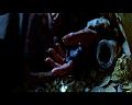 PDVD_2609