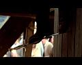 PDVD_2712
