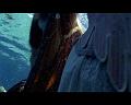 PDVD_296