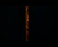 PDVD_677
