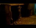 PDVD_721