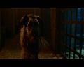 PDVD_723