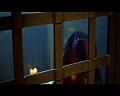 PDVD_734