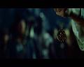PDVD_789