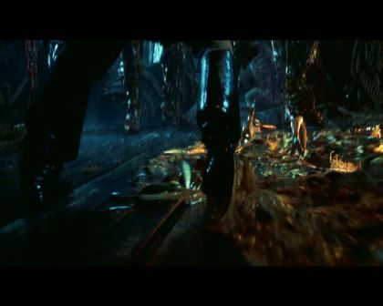 PDVD_1222.jpg