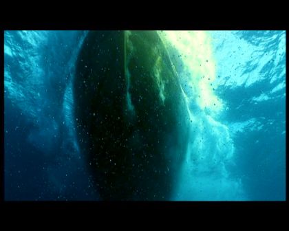 PDVD_2078.jpg