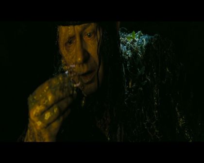 PDVD_219.jpg