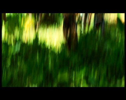 PDVD_2709.jpg