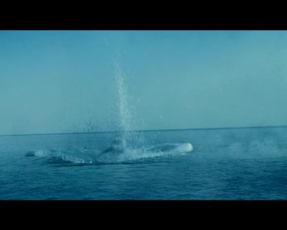 PDVD_299.jpg