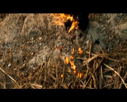 PDVD_694.jpg