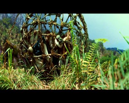 PDVD_700.jpg