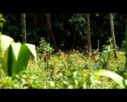 PDVD_729.jpg