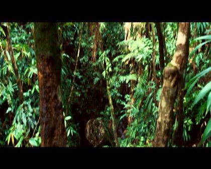 PDVD_761.jpg