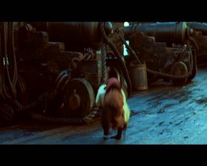 PDVD_834.jpg