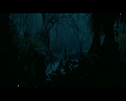 PDVD_992.jpg