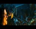 PDVD_1225