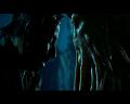 PDVD_1242