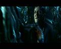 PDVD_1261