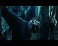 PDVD_1354