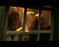 PDVD_1389