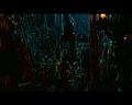 PDVD_1566