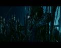 PDVD_1599