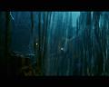 PDVD_1664
