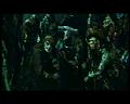 PDVD_1816