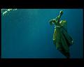 PDVD_2259