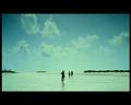 PDVD_2334