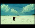 PDVD_2516