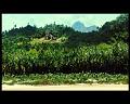 PDVD_2565