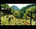 PDVD_2624