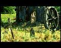 PDVD_2640