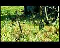 PDVD_2641