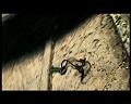 PDVD_2653