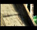 PDVD_2657