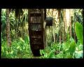 PDVD_2664