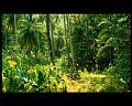 PDVD_2667