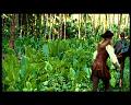 PDVD_2700
