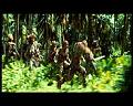PDVD_2703