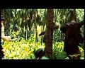 PDVD_2706