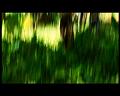 PDVD_2709