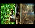 PDVD_2712