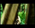 PDVD_2713
