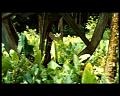 PDVD_2716