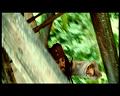 PDVD_2726