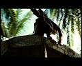PDVD_2729