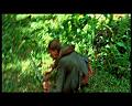 PDVD_2743